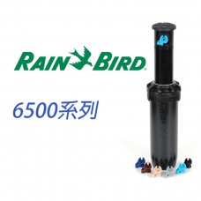 RAIN BIRD 6504 隱藏式旋轉噴頭1吋
